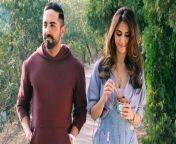 chandigarh kare aashiqui box office day 2 the ayushmann khurrana starrer shows 30 growth collects rs 4 87 cr 2 e1639563932443 jpgw620 from indian and foreign man bo