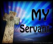 job 1 8 my servant devotional01 28 blue.jpg from my sarvant
