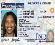 pennsylvania drivers license non binary jpgw1200fe1462ef86e567ea40cf6ccb8557f409b from gender x