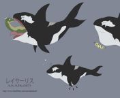 1403126194 akaikosh orca and dragon.jpg from orca vore