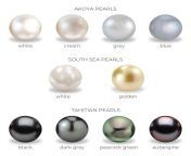 saltwater pearl colours.jpg from pearl
