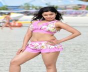 2fe85 payal ghosh swim suit hot pic 554.jpg from payel ghos xxx photo