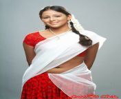 d6141 hot south indian actresses in half saree11.jpg from all indian semi sexy