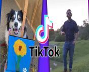 best of tiktok 2021 most viewed videos.jpg from viral tiktok 2021