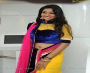 desktop wallpaper tamil serial actress hot cuteness overloaded check now south actress navel.jpg from tamil actress xray boob