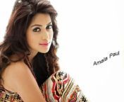 desktop wallpaper amala paul tamil actress high quality tamil actress.jpg from tamil actress amalia paul braকোয়