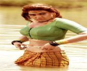 desktop wallpaper silk smitha multilingual actress.jpg from actress silk smitha sex video 3gp movie mousumi basor rat