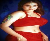 desktop wallpaper meena durai swamy tamil actress navel.jpg from actress meena bra panty xossip image