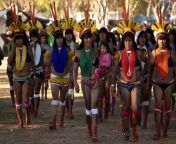 brasil 20190812 637012307583501193 1565748035329.jpg from brasil tribus desnudas amazonas