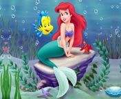 little mermaid cartoon 21518 39 2000 7af8322fdb9643cab7cfa74feb1cc831.jpg from litell marmed