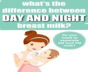 day and night milk.jpg from breastfeeding rhythms mom breast milk suckable