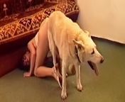 9.jpg from dogs fuck mother