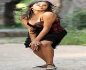 priya mani hot mallu1.jpg from tamil actress priyamani hot xvideo mynaya