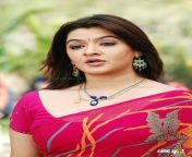 aarthi agarwal pink saree cleavage 08.jpg from nude ray aarti agarwal actress nayanthara blue film xxx brian