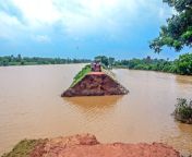 flood in jagatsinghpur district of odisha 1623750.jpg from odisa jagat singh p