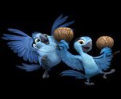 rio 2 kids icon.png from icon rio little
