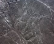 imagen archivo geoglifo condor desierto nazca peru 98 jpgcrop45122539x0y261width1900height1069optimizelowformatwebply from el misterio de las lineas de nazca resuelto por los arqueologos