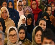 afghanistan hazaras taliban gettyimages 1231589815 jpgquality90 from hazara afghanistan