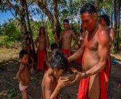 brazil culture waiapi 101 jpgitok2pg4ahr4 from brasil tribus desnudas amazonas