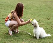 a cute young girl playing with her dog.jpg from cute young playing with hercute small boobs